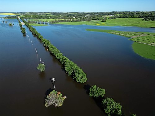12072026
Trees line the submerged Grand Valley Road west of 18th Street on Sunday as the rising Assiniboine River floods the valley.   (Tim Smith/The Brandon Sun)
