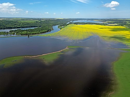 Crops west of Brandon along the Assiniboine River sit submerged in floodwater on Monday. (Tim Smith/The Brandon Sun)
