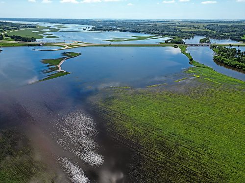 13072026
A canola crop west of Brandon along the Assiniboine River sits submerged in flood water on Monday.
(Tim Smith/The Brandon Sun)