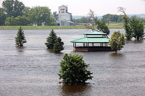 Floodwater continues to inundate Dinsdale Park in Brandon as water levels in the Assiniboine River slowly recede on Thursday despite heavy rainfall overnight and on Wednesday. (Tim Smith/The Brandon Sun)