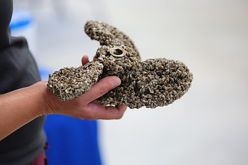 Brandon Sun Candace Parks provides a closer look at how adult zebra mussels can colonize on a standard boat propeller following her July 28 aquatic invasive species workshop in Killarney. (Kyle Darbyson/The Brandon Sun)