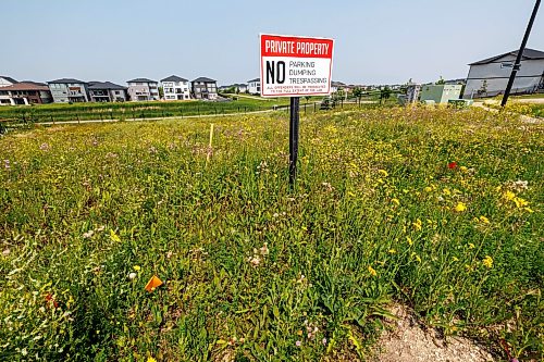 MIKE DEAL / FREE PRESS
The empty lot on Silver Creek Road next to the roundabout.
Residents who live near a provincially owned lot in Bridgwater are frustrataed it’s been covered in weeds/is an eyesore, but the city is powerless to get it cleaned up because it doesn’t have jurisdiction. We have viewed a message from 311 saying that because it’s a Manitoba Housing property, city bylaw officers cannot intervene.
Reporter: Malak Abas
260722 - Wednesday, July 22, 2026.