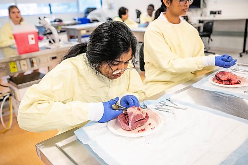 MIKAELA MACKENZIE / FREE PRESS
Tara Philip (15) dissects a heart at the Biomedical Youth Program Summer Camp at the University of Manitoba Rady faculty of health sciences on Wednesday, July 22, 2026.
Standup.
Free Press 2026