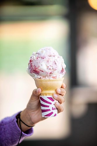 MIKAELA MACKENZIE / FREE PRESS
	
Raspberry lemon curd cheesecake ice cream at Neon Cone on Tuesday, July 21, 2026. 

For AV story.
Free Press 2026