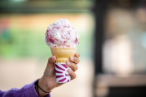 MIKAELA MACKENZIE / FREE PRESS
Raspberry lemon curd cheesecake ice cream at Neon Cone on Tuesday, July 21, 2026.
For AV story.
Free Press 2026