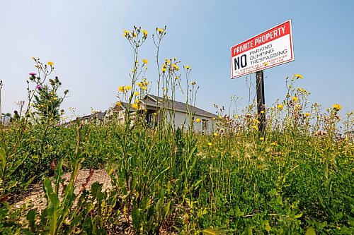 MIKE DEAL / FREE PRESS
The empty lot on Silver Creek Road next to the roundabout.
Residents who live near a provincially owned lot in Bridgwater are frustrataed it’s been covered in weeds/is an eyesore, but the city is powerless to get it cleaned up because it doesn’t have jurisdiction. We have viewed a message from 311 saying that because it’s a Manitoba Housing property, city bylaw officers cannot intervene.
Reporter: Malak Abas
260722 - Wednesday, July 22, 2026.
