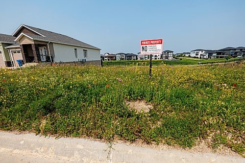 MIKE DEAL / FREE PRESS
The empty lot on Silver Creek Road next to the roundabout.
Residents who live near a provincially owned lot in Bridgwater are frustrataed it’s been covered in weeds/is an eyesore, but the city is powerless to get it cleaned up because it doesn’t have jurisdiction. We have viewed a message from 311 saying that because it’s a Manitoba Housing property, city bylaw officers cannot intervene.
Reporter: Malak Abas
260722 - Wednesday, July 22, 2026.