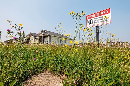 MIKE DEAL / FREE PRESS
The empty lot on Silver Creek Road next to the roundabout.
Residents who live near a provincially owned lot in Bridgwater are frustrataed it’s been covered in weeds/is an eyesore, but the city is powerless to get it cleaned up because it doesn’t have jurisdiction. We have viewed a message from 311 saying that because it’s a Manitoba Housing property, city bylaw officers cannot intervene.
Reporter: Malak Abas
260722 - Wednesday, July 22, 2026.
