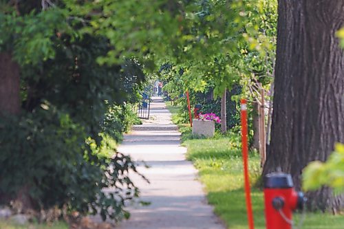MIKE DEAL / FREE PRESS
Spence Street looking South between Broadway and Portage.
A West Broadway homeowner says she’s watching her neighbourhood deteriorate while governments pass the blame, accusing Winnipeg Mayor Scott Gillingham of pointing to the province instead of taking action. 
Reporter: Scott Billeck
260722 - Wednesday, July 22, 2026.