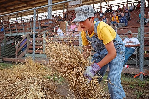 23072026
Zach Kennedy stands up stooks of grain while competing in the stooking competition in the arena at the opening day of the 2026 Manitoba Thresherman’s Reunion and Stampede on Thursday afternoon.
(Tim Smith/The Brandon Sun)