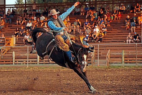Quinn Tallmadge of Balgonie, Sask., holds on to stay in the saddle while competing in the saddle bronc event on Thursday. (Tim Smith/The Brandon Sun)