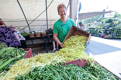 Ruth Bonneville / Free Press
Local St-Léon Gardens - locally grown produce
Photo of Colin Rémillard, co-owner of St-Léon Gardens, restocking his table of locally grown beans, Friday.
Story: locally/Canadian grown produce like what’s offered at St-Léon Gardens and restaurants like at Gather at the Leaf with produce from the kitchen garden and St Norbert’s market.
See story by AV
July 24th, 2026