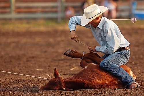 24072026
Tanner Lockie of Balgonie, Saskatchewan ties a calf’s feet after roping it during the tie down roping event at the opening go-round of the 2026 Manitoba Thresherman’s Reunion and Stampede rodeo on Thursday evening. (Tim Smith/The Brandon Sun)