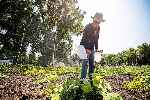 MIKAELA MACKENZIE / FREE PRESS
Bob Stewart waters his squash plants at the Riverview Garden Society community gardens on Monday, July 27, 2026. After a particularly wet spring, Stewart is now hauling water in every couple of days for the hot and thirsty plants (today he estimates that he carried over 25 gallons into his allotment).
Standup.
Free Press 2026