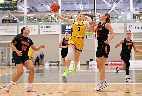 Piper Ingalls of the Brandon University Bobcats is heading to Ireland to play professional basketball for the Abbey Seals Dublin Lions this fall. (Tim Smith/The Brandon Sun)