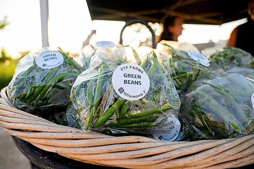 Mike Sudoma / Free Press
Bags of green beans are on display as FTF Farms sets up their booth around 7am at the St Norbert Farmers Market Saturday morning
July 25, 2026