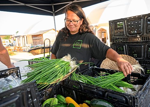 Mike Sudoma / Free Press
Charlene Penner of FTF Farms stocks a basket of green onions as her and her husband Brian set up their booth at the St Norbert Farmers Market early Saturday morning
July 25, 2026