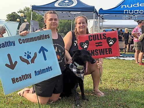 Jennelle Andre-Sealey, left, and Tatiana Janovcik, with husky mix and rez dog Bear, whose jaw was injured by a gunshot while on God’s Lake Narrows First Nation. The two women worked closely with Amanda Nobiss through their group Partners in Prevention, a branch of K9 Advocacy Manitoba, and both said more resources and government action is critical to protecting both dog populations and communities as a whole. (Morgan Modjeski / Free Press)