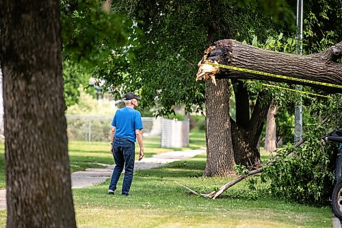 MIKAELA MACKENZIE / FREE PRESS
Neighbours check out storm damage on Stewart Street on Thursday, July 30, 2026.
For Chris story.
Free Press 2026