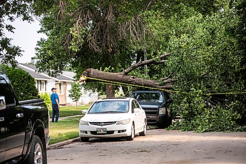 MIKAELA MACKENZIE / FREE PRESS
Neighbours check out storm damage on Stewart Street on Thursday, July 30, 2026.
For Chris story.
Free Press 2026