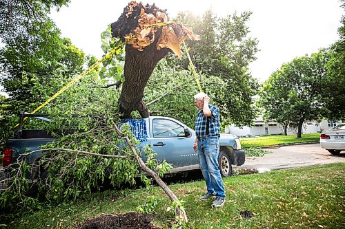 MIKAELA MACKENZIE / FREE PRESS
Jake Falk shows a tree that fell on his truck during the storm on Stewart Street on Thursday, July 30, 2026.
For Chris story.
Free Press 2026