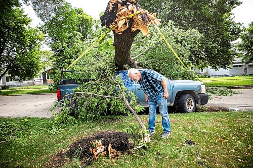 MIKAELA MACKENZIE / FREE PRESS
Jake Falk shows a tree that fell on his truck during the storm on Stewart Street on Thursday, July 30, 2026.
For Chris story.
Free Press 2026