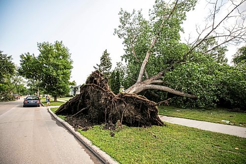 MIKAELA MACKENZIE / FREE PRESS
Storm damage on Cullen Drive on Thursday, July 30, 2026.
For Chris story.
Free Press 2026