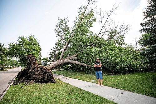 MIKAELA MACKENZIE / FREE PRESS
	
Neighbour Ian Glover shows a tree that came down in the storm next to his house on Cullen Drive on Thursday, July 30, 2026.

For Chris story.
Free Press 2026
