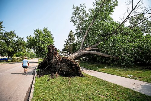 MIKAELA MACKENZIE / FREE PRESS
Storm damage on Cullen Drive on Thursday, July 30, 2026.
For Chris story.
Free Press 2026