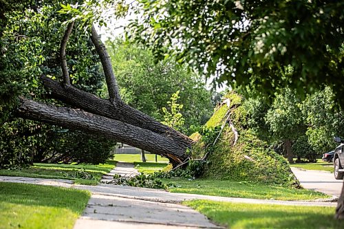 MIKAELA MACKENZIE / FREE PRESS
Storm damage on Cullen Drive on Thursday, July 30, 2026.
For Chris story.
Free Press 2026