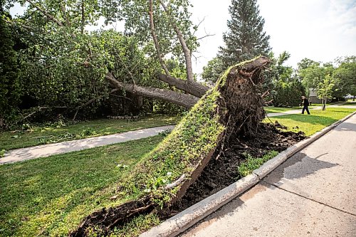 MIKAELA MACKENZIE / FREE PRESS
Storm damage on Cullen Drive on Thursday, July 30, 2026.
For Chris story.
Free Press 2026