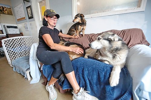 Brandon Humane Society director Tracy Munn sits with a few of the older canines housed at the shelter on Thursday afternoon. (Matt Goerzen/The Brandon Sun)