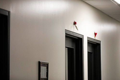 MIKAELA MACKENZIE / FREE PRESS
Medicines hang above doorways at Ga naa na ga da waa ba dang, the Kenora Justice Centre, on Wednesday, July 29, 2026.
For Dan story.
Free Press 2026