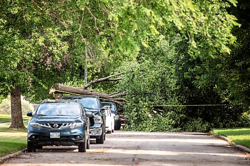 MIKAELA MACKENZIE / FREE PRESS
Storm damage on Stewart Street on Thursday, July 30, 2026.
For Chris story.
Free Press 2026