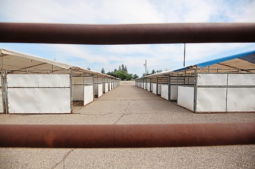 MATT GOERZEN BRANDON SUN
Outdoor horse stalls have been set up in the Keystone Centre parking lot to house participants in Canada’s National Arabian Championship, which starts next week Thursday. 