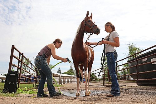 Ella Woitas and Tanesha Pizzey with Milligan Training of Foam Lake, Sask., give LH Sunset Magic a shower after a workout at the Keystone Centre grounds on Wednesday ahead of Canada's National Arabian Championship. The Arabian and half-Arabian show opens today and runs until the 15th, featuring competition in multiple categories. (Tim Smith/The Brandon Sun)