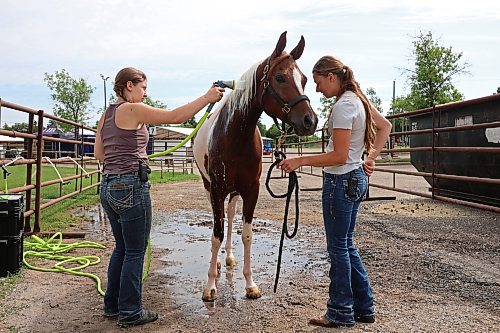 05082026
Ella Woitas and Tanesha Pizzey with Milligan Training of Foam Lake, Saskatchewan, give LH Sunset Magic a shower after a work out at the Keystone Centre grounds on Wednesday ahead of the Canada's National Arabian Championship. The Arabian and half-Arabian show opens today and runs until the 15th, featuring competition in multiple categories.
(Tim Smith/The Brandon Sun)
