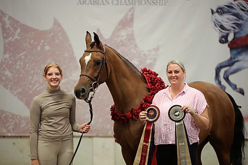 06082026
Handler Taryn Weiss and trainer Erika Vickers with Silver Sands Performance Horses out of Allendale, Michigan pose for photos with their full Arabian Aslan LRA after winning National Champion in the Arabian Sport Horse In-Hand Geldings 2 and Over Hunter Type ATH class at the first day of Canada's National Arabian Championship at the Keystone Centre on Thursday.
(Tim Smith/The Brandon Sun)