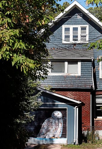 WAYNE GLOWACKI / WINNIPEG FREE PRESS
Winnipeg artist Kal Barteski has been painting arctic murals in the back lane between Ethelbert St. and Canora St. from Westminster south to Wolseley Ave. This is being presented as part of Nuit Blanche. Paintings are on garage doors and smaller ones on panels affixed to the fences - it's called #Back Alley Arctic. Wendy King story Sept. 8 2017