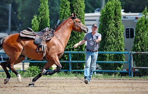 A horseman exercises one of the many Arabian horses stationed at the Keystone Centre this weekend for Canada’s National Arabian Championship. (Matt Goerzen/The Brandon Sun)
