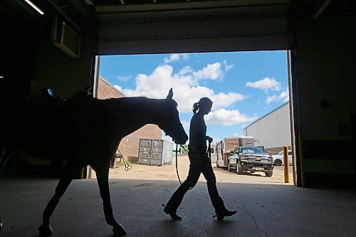 A horse and rider are silhouetted as they walk past an open door in the Assiniboine Credit Union Agricultural Centre on Friday afternoon. (Matt Goerzen/The Brandon Sun)