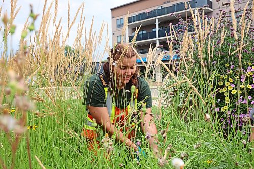 11082026
Labourer Nicole Bogue with the City of Brandon weeds a flower bed at Brandon City Hall along with Elena Roberts, Brooklyn Pratt, Brianne Stott and lead horticulturalist Abigail Phipps on a warm Tuesday.
(Tim Smith/The Brandon Sun)