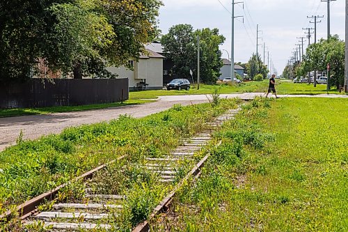 MIKE DEAL / FREE PRESS
A stretch of unused and abandoned rail where it crosses Alexander Avenue looking south.
Former federal cabinet minister Lloyd Axworthy, is recommending that Manitoba should commission a design study to transform an abandoned rail line in Brooklands into an active transportation corridor.
Lloyd Axworthy, is leading a two-year study commissioned by the NDP into the relocation of rail lines and yards that currently occupy high-value property in Winnipeg’s core.
reporter: Ben Waldman
250827 - Wednesday, August 27, 2025.