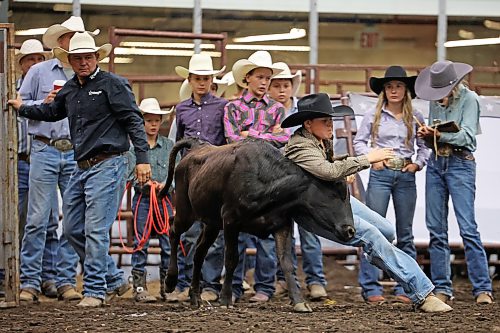Tucker Berglund of Kennedy, Sask., tries to wrestle a steer to the ground during the chute-dogging event. (Tim Smith/The Brandon Sun)