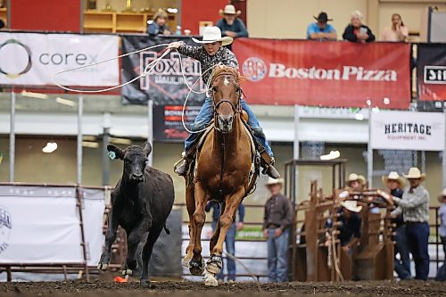13082026
Henry Stewart of Virden, Manitoba tries to rope a calf during the junior high boys breakway event at the high school rodeo on the opening day of the 2026 Virden Indoor Rodeo and Wild West Daze on Thursday. The annual Rodeo and Wild West Daze runs until Sunday with a variety of events including a parade, a demolition derby, nightly rodeo performances and other events. (Tim Smith/The Brandon Sun)