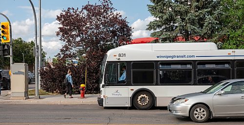 ROBERT LEE / FREE PRESS
Tania Homenchuk is photographed at a bus stop in Winnipeg on Thursday, August 13, 2026. Homenchuk, along with many other residents and natives of Winnipeg, is disappointed with the launch of the Primary Transit Network, which has led to thousands of complaints and concerns rolling into the city.