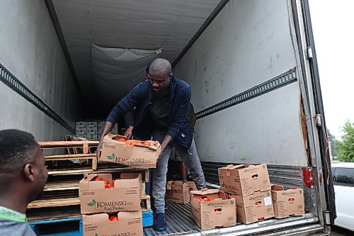 Manaar Logistics owner Sanni Wasiu hands a box of Roma tomatoes to a customer on Friday morning. Wasiu brings about 2,000 boxes of Roma tomatoes to Brandon as part of his growing produce distribution business serving communities across several Canadian provinces. (Abiola Odutola/The Brandon Sun)