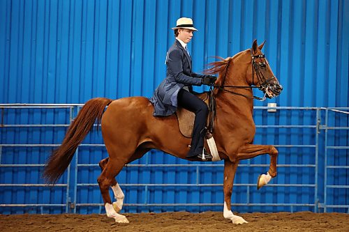 Seventeen-year-old Taylor Vonderahe of Buckley, Wash., practises with his half-Arabian Eros Better Behold prior to competing on Friday. Vonderahe trains his own horses and has been doing so for three years. (Tim Smith/The Brandon Sun)
