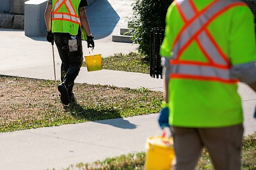 MIKAELA MACKENZIE / FREE PRESS
	
A city crew cleans up needles and other hazardous materials at Freight House park on Thursday, Aug. 13, 2026.

For Malak story.
Free Press 2026