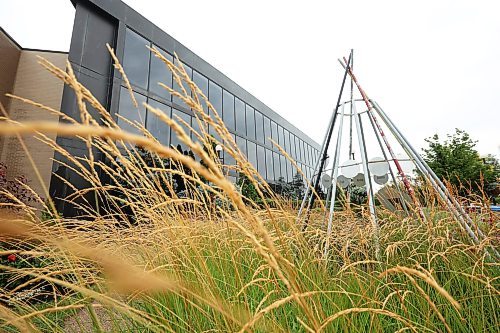 14082026
Flowers outside Brandon City Hall on a rainy Friday. 
(Tim Smith/The Brandon Sun)